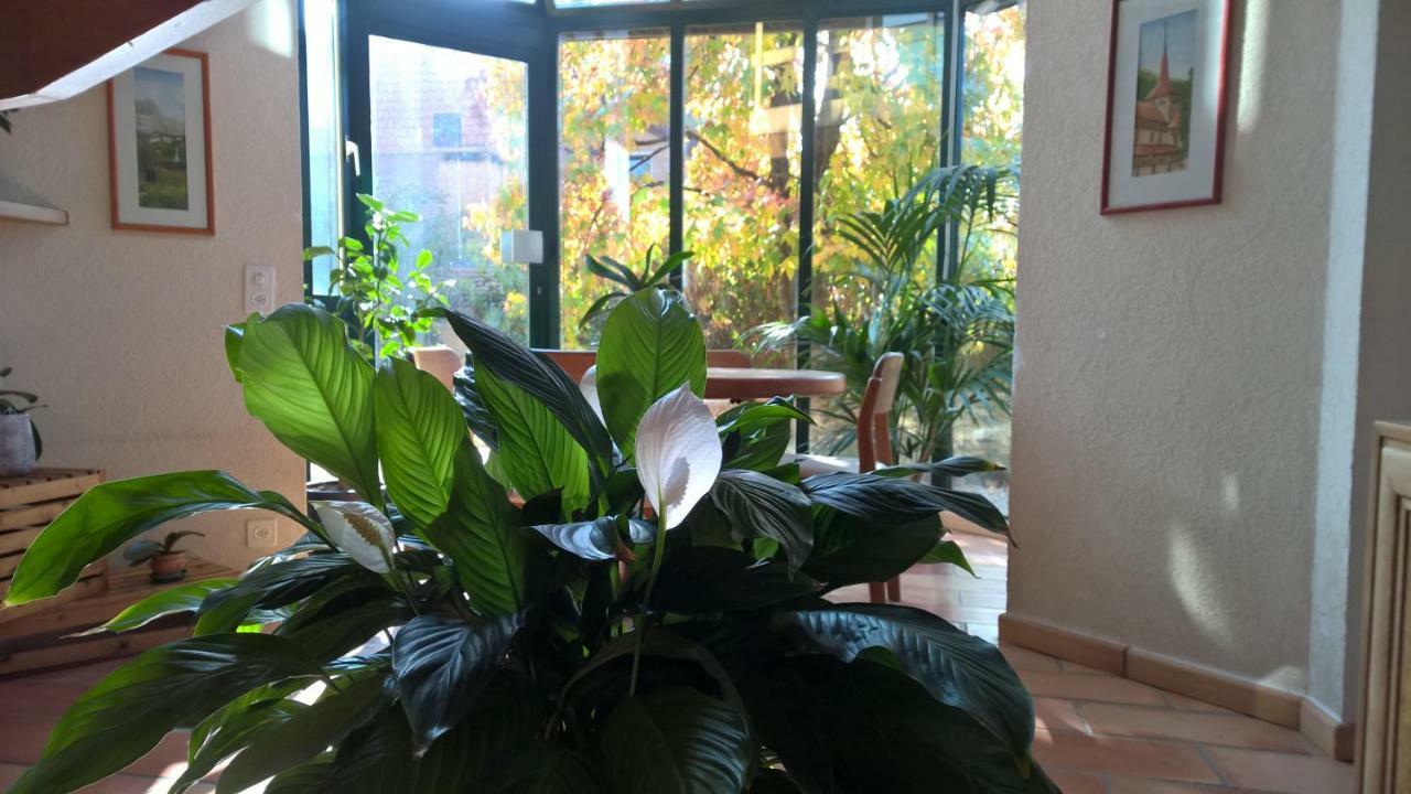 Romanel-sur-Morges Guest House La Sereine מראה חיצוני תמונה
